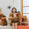 Wedding Gentleman Capybara Doll Cute Hugging Flower Kapibara Plush Toy Pillow Gift