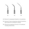 Niceden Dental Ultrasonic Air Scaler with 3 Tips Scaling Handpiece Frequency Pneumatic Scaler 2/4 Holes