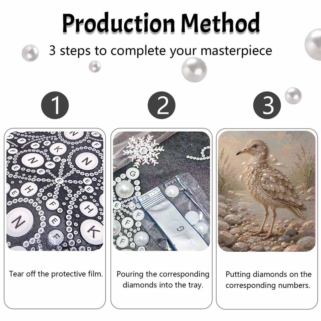 Stretched Frame Pearl Art Kit Seagull and Stone Pattern DIY Sparkling Bead Canvas Creative Leisure Craft for Home Decoration