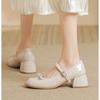 Spring Thick Heel Women Mary Jane Shoes Shallow Ladies Casual Butterfly-knot Shoes Eelgant Dress Leather Shoes