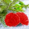 20Pcs Silk Flower Decoration Carnation Style Exquisite Craftsmanship Not Easy To Fade Wedding Home Party DIY Floral Arrangement