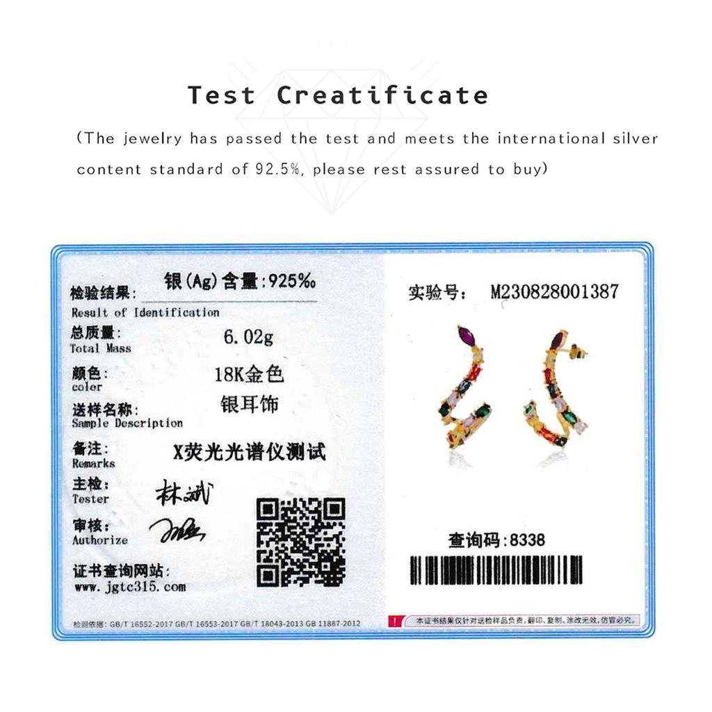 ANDYWEN 925 Sterlingsilber Gold Regenbogen CZ Schlange Creolen Stecker Ohrring Piercing Pendientes 2023 Luxusschmuck