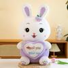 Cute Fruit Heart Rabbit Plush Pillow - Large Doll Children's Sleep Gift