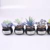 Home Decoration Simulation Succulent Plant Cement Bonsai, Fake Succulent Potted Plant, Mini Simulation Succulent Potted Plant