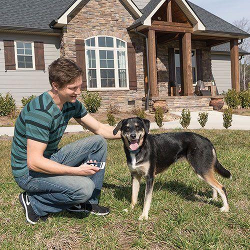 Collier de dressage - petsafe - lite 300 et 600m - rechargeable usb - pour petit chien - bleu