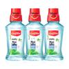 Colgate Vibrant Mint 250ml Mouthwash - Portable Travel Size Bottle