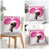 Mr Worldwide Pitbull Pillow Case Cushion Cover Square Printed Pillow Cover Kawaii Pillowcases For Living Room Chair