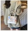 Premium Sense Niche Bag Women's 2025 New Trendy Fashion Versatile Shoulder Messenger Bag Light Luxury Hand Bucket Bag