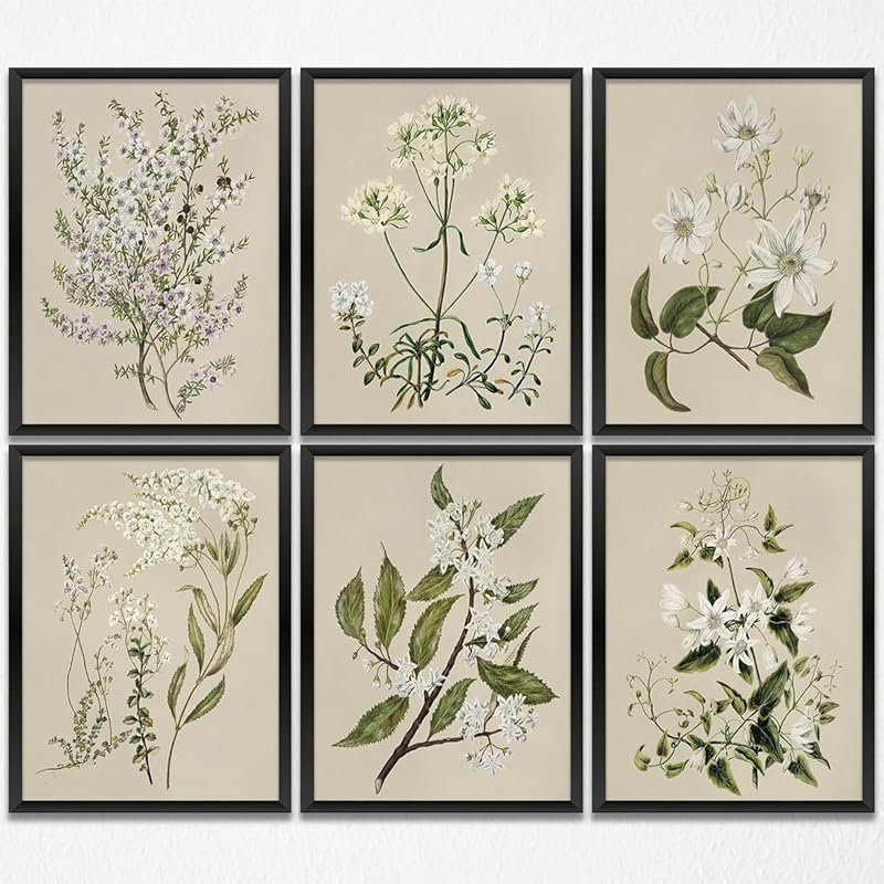 Gubrandin 6PCS Vintage Botanical Wildflower Art Wall Art Prints Artwork Paintings for Home Farmhouse Office Bathroom Kitchen Bedroom Wall Decor (8x10
