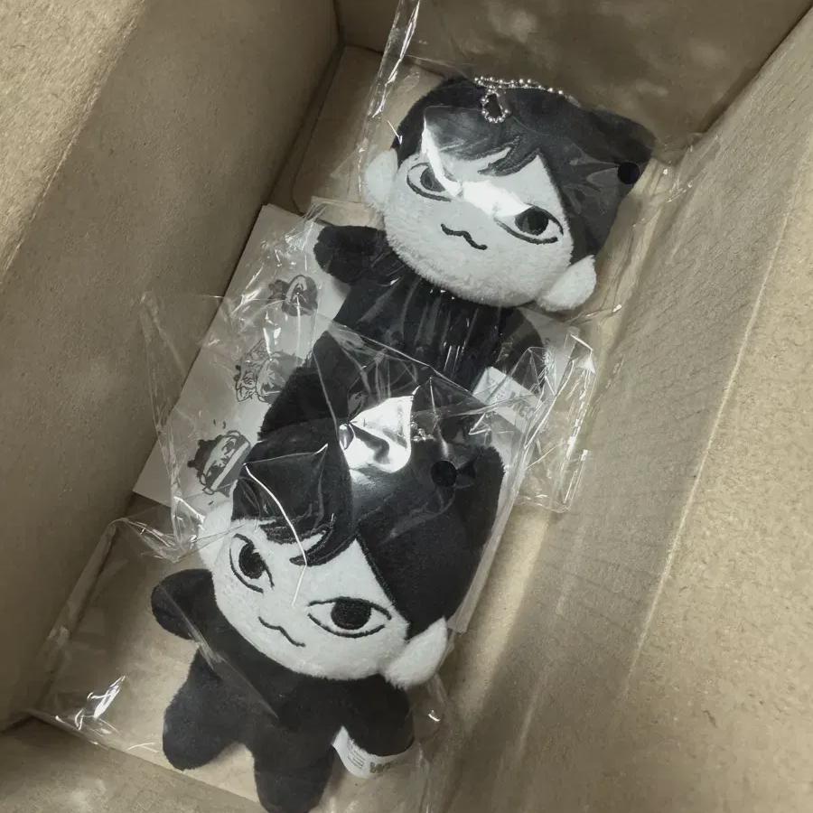 

Doll Juyeon Theboyz