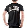Herren Palästina Flagge T-Shirts Reine Baumwolle Kleidung Kreative Kurzarm Rundhals T-Shirts Druck T-Shirts