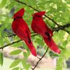Artificial Bird Garden Green Plant Home Decoration Clip Prop Manufacturer Direct Feather Flapper Handicraft Bird