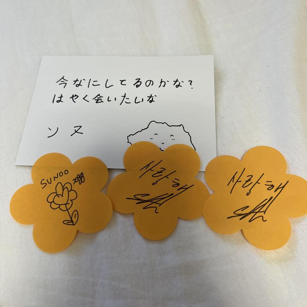 [USED] Enhypen Sunwoo Fan Fate