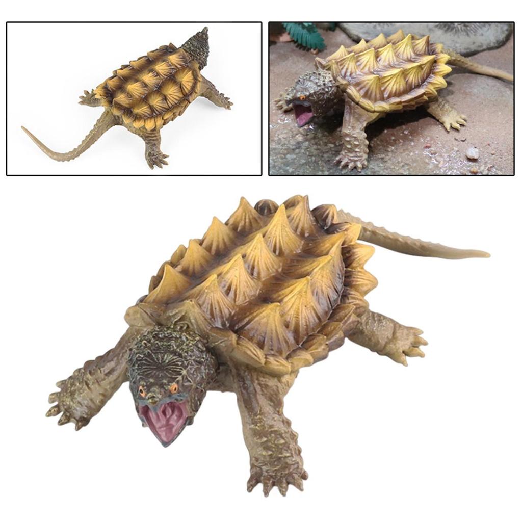 Educational Snapping Turtle Figure Toy Set for Decor Birthday Gift