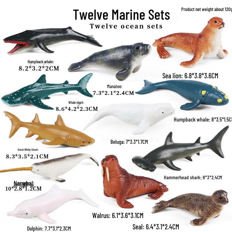 Realistic Marine Animal Models: Hammerhead, Whale Shark, Dolphin, Blue Shark, Leopard Shark for Children s Cognitive Play - Heart Toy Edition