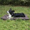 Outdoor Camping Dog Mat Foldable Pet Pad Oxford Cloth Puppy Cushion Bed Blanket