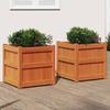 VidaXL Planters 2 Pcs Wax Brown Solid Pine Wood 837429