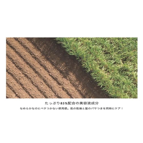 QUEEN'S DAY | Queen's Day Hand & Hair Treatment (New Love in Tangier)