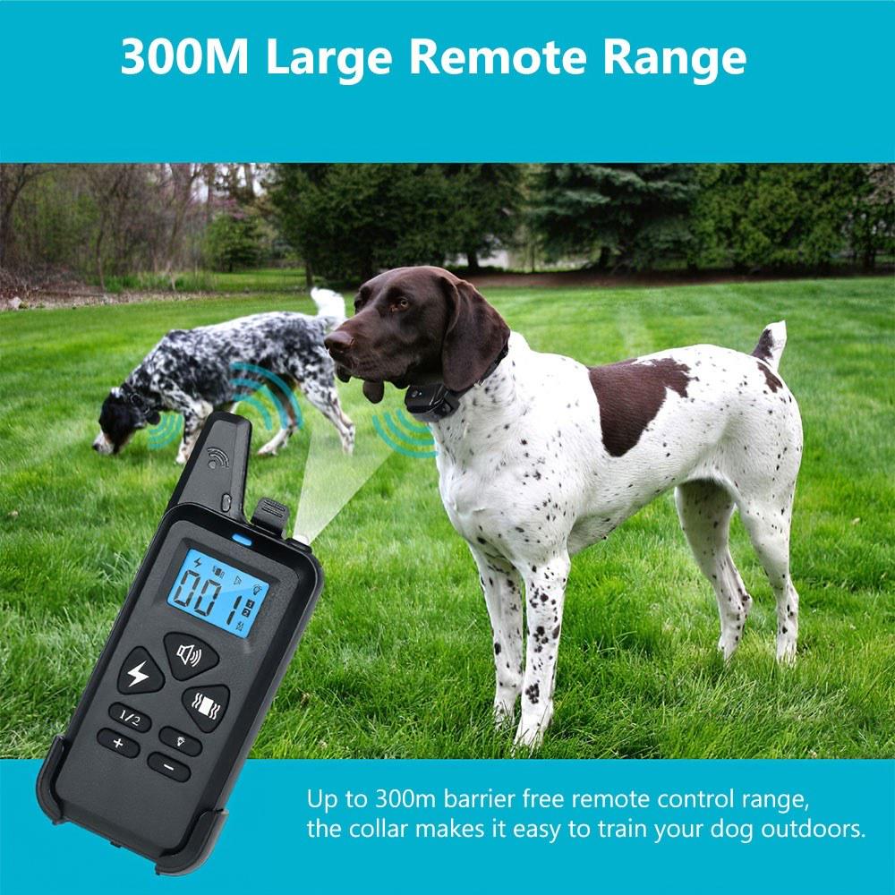 static shock dog collar