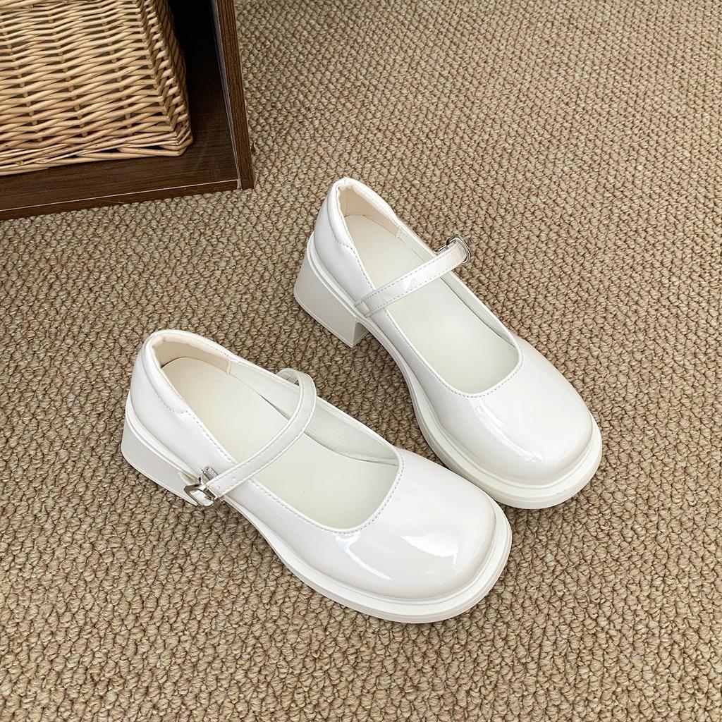 White French retro thick heel heightened small leather shoes women's 2025 new autumn skirt light mouth Mary Jane single shoes