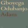 Adam by Gboyega Odubanjo Paperback Book 9780571390403