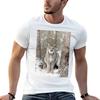 Canadian Wilderness Lynx T-Shirt Workout Short Sleeve Top