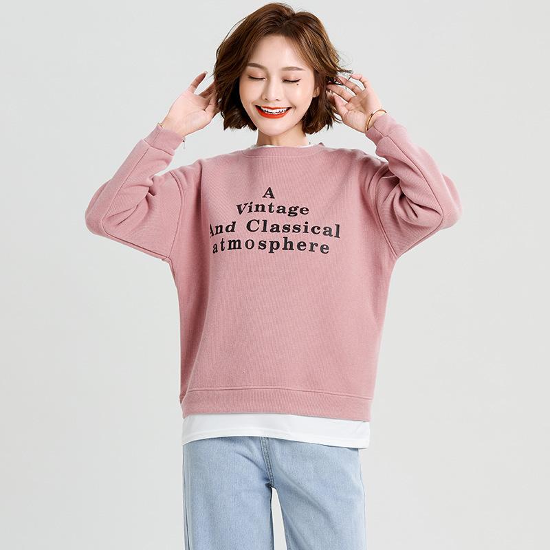 Korean Style Hooded Sweatshirt Women's Casual Loose Niche Women's New Fashion Long-sleeved Jacket