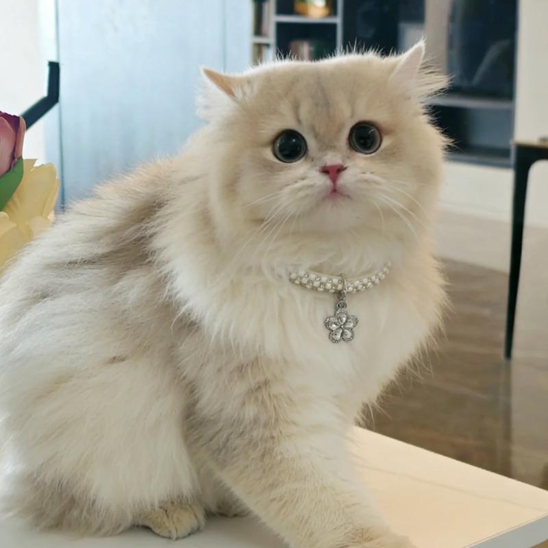 Funkelndes Strass-Haustierhalsband Verstellbar Blume Anhänger Elastisch Katze Hund Halskette Schmuck Niedliche Welpen Kätzchen Zubehör
