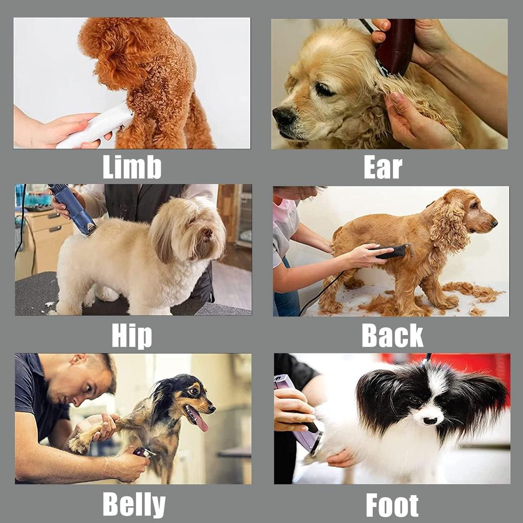 AIJALY 10 Blades Dog Grooming Blades Compatible with Andis/Wahl/Oster Pet Clippers AG AGC Ceramic Sharp Size-10, 1/16-Inch Cut Length (#10 Blade/2PC)