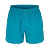 Hugo Mens Tiki Vertical Logo Swim Shorts