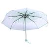 1PC Transparent Folding Umbrella Fashionable Princess Umbrella Cherry Blossom # Light Green