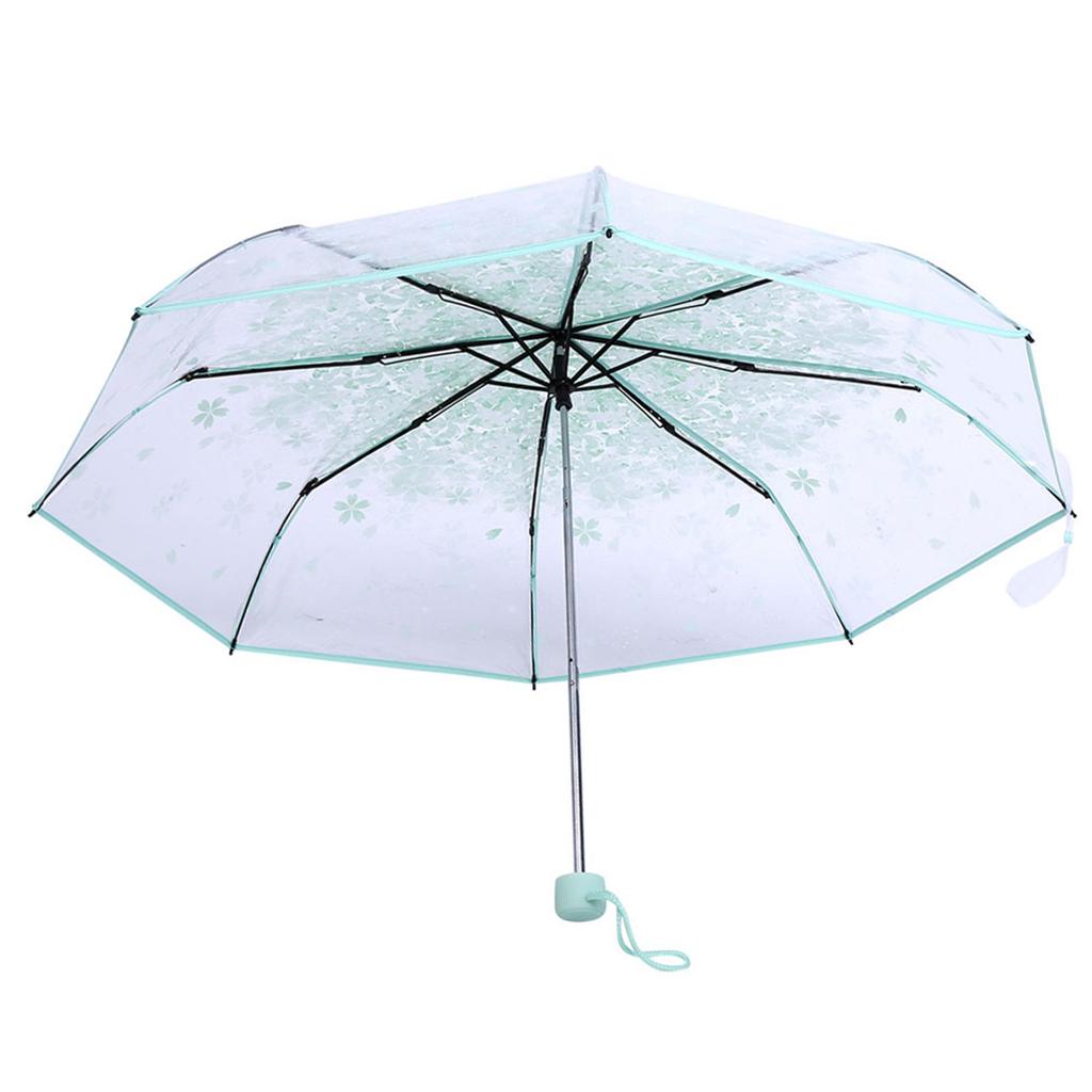 1PC Transparent Folding Umbrella Fashionable Princess Umbrella Cherry Blossom # Light Green