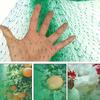 Green Anti Bird Netting Pond Pool Protection Net Mesh Garden Plant Fruit Vegetables Flower Traps Netting Protect Pest Control