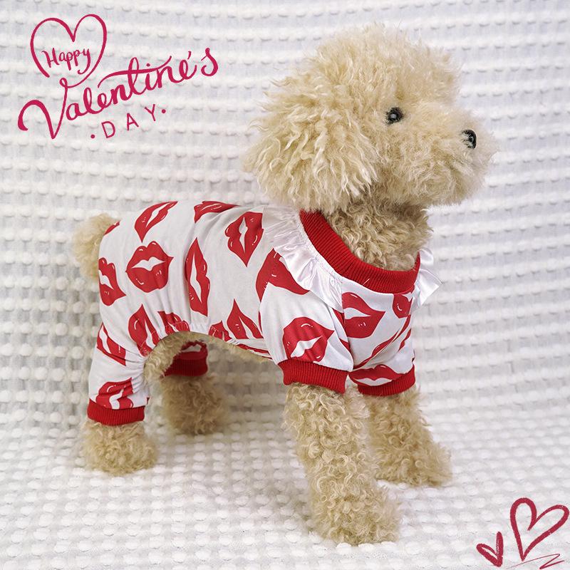 Pet Apparel for Small and Medium Dogs: Stylish Home and Outdoor Wear for Four-Legged Friends
