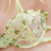 Light Green Floral Embroidered Lace Lingerie Set