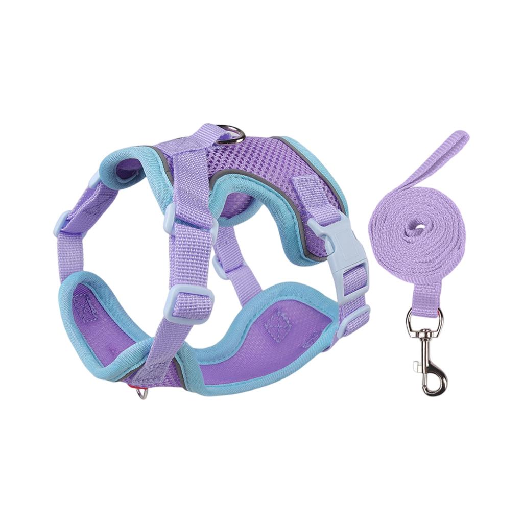 & Small Dog Leash Set - Outdoor Pet Vest for Puppies & Kittens