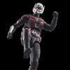 Hasbro Marvel Legends Series Ant-Man, Ant-Man and the Wasp: Quantumania 6-inch (15cm) Action Figure, Ages 4 and Up, F6573, Authentic