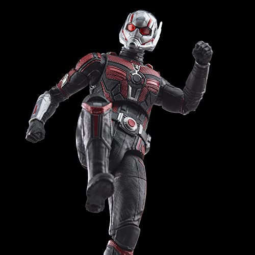 Hasbro Marvel Legends Series Ant-Man, Ant-Man and the Wasp: Quantumania 6-inch (15cm) Action Figure, Ages 4 and Up, F6573, Authentic