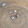 Bright Star~ Star Zircon Silver Needle Earrings Women's Fashion Temperament Cold Sense Earrings New Earrings