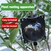 5Pcs Plant Rooting Ball Breeding Plant Root Pot Garden Cutting Grafting Rooting Box Breeding Seedling Balls Gardening Supplies