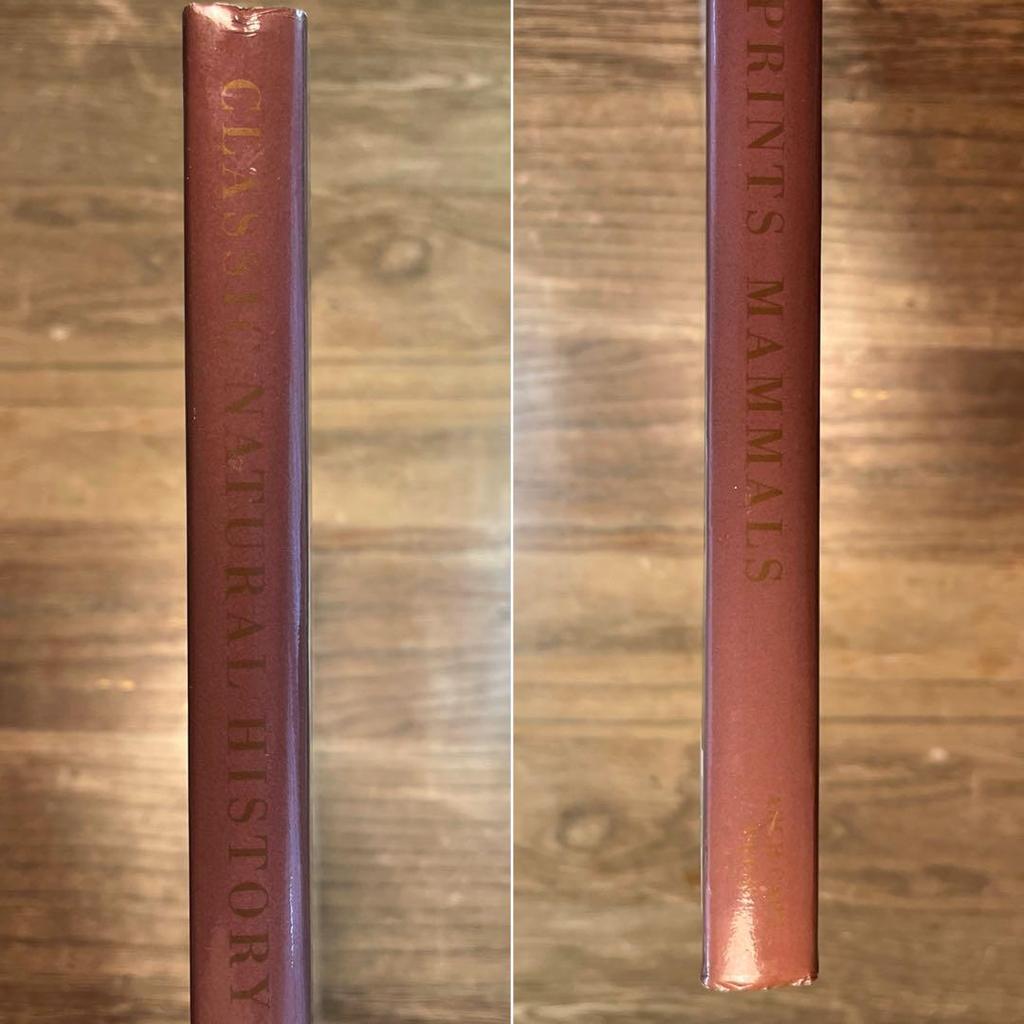 [USED] CLASSIC NATURAL HISTORY PRINTS MAMMALS