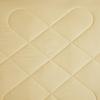 LUOLAI Glory Tussah Silk Quilt