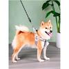 Adjustable Dog Harness With Leash Small Breeds Like Shiba Corgi French Bulldog Bichon - Reflective Safety Walk Belt
