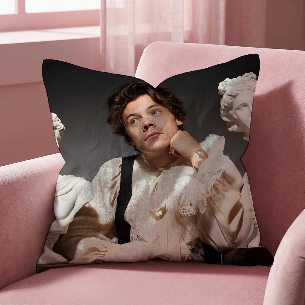 Harry Styles Kissenbezug Mehrzweck-Kissenbezug für Zuhause & Auto - Wendbar, Weich & Langlebig für den täglichen Gebrauch