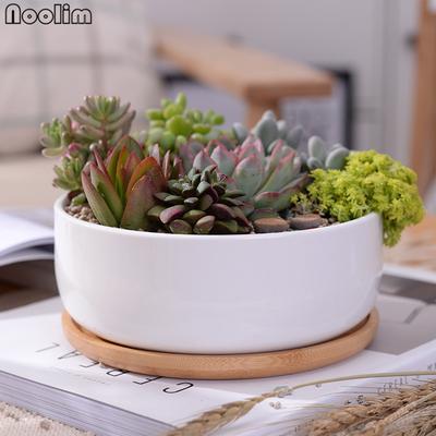 1 zestaw ceramiczny doniczka na sukulenty porcelana głęboko zaokrąglona doniczka na biurko (1 doniczka + 1 taca)