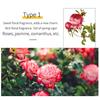 10ml 24 Flavors Essence Mini Edible Easy To Use Long-lasting Lightweight Handmade Soap Tool Grapeseed Oil Food Additives Fragrance