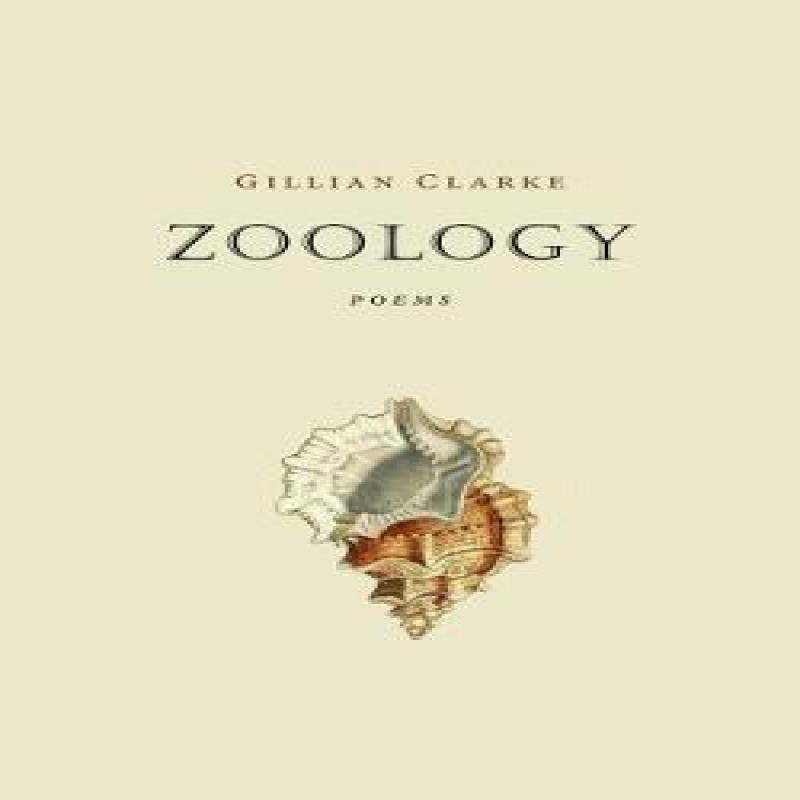 Zoology by Gillian Clarke Paperback Book 9781784102166