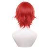 RyuuCos Full Short Straight for Men and School Cultural 01 All-Purpose Wig, Wig, Red, Heat-Resistant, Women, Cosplay, Disguise, Costume, Gift, Event,