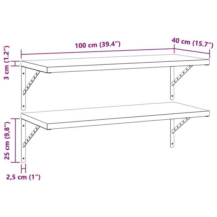 VidaXL Wall Shelves 2 Pcs 100x40 Cm Silver Stainless Steel, Floating Shelf, Wall Display Shelf, Panel 3214502