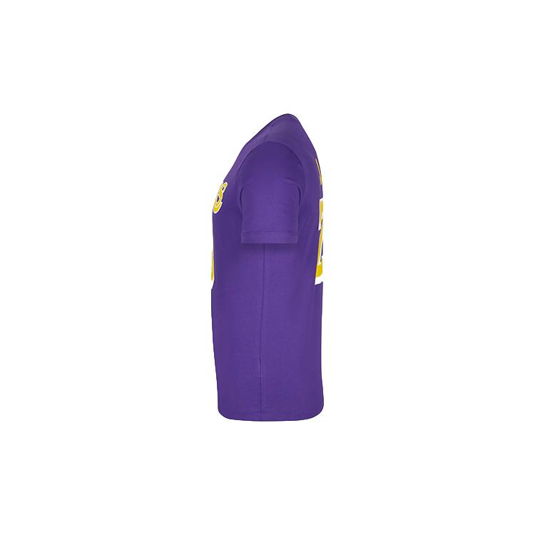Jordan T Shirt Men's Garden Purple CV9987-551
